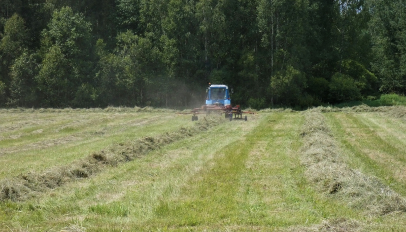 Pagarināts termiņš zālāju nopļaušanai